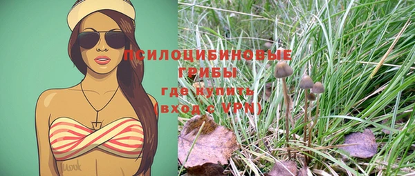 МДПВ Абдулино