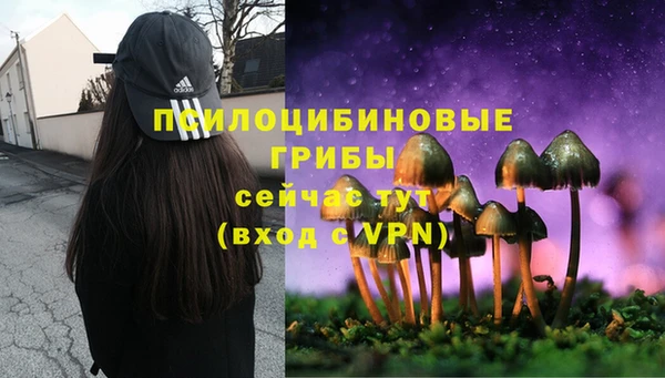 MDMA Premium VHQ Абаза