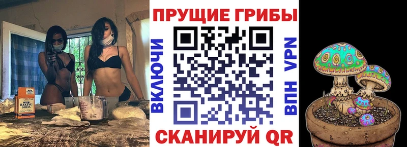 Галлюциногенные грибы ЛСД  где найти   Шимановск 